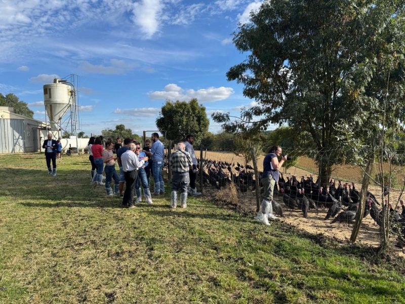 Image for the Tweet beginning: 🐔 Pour finir cette première