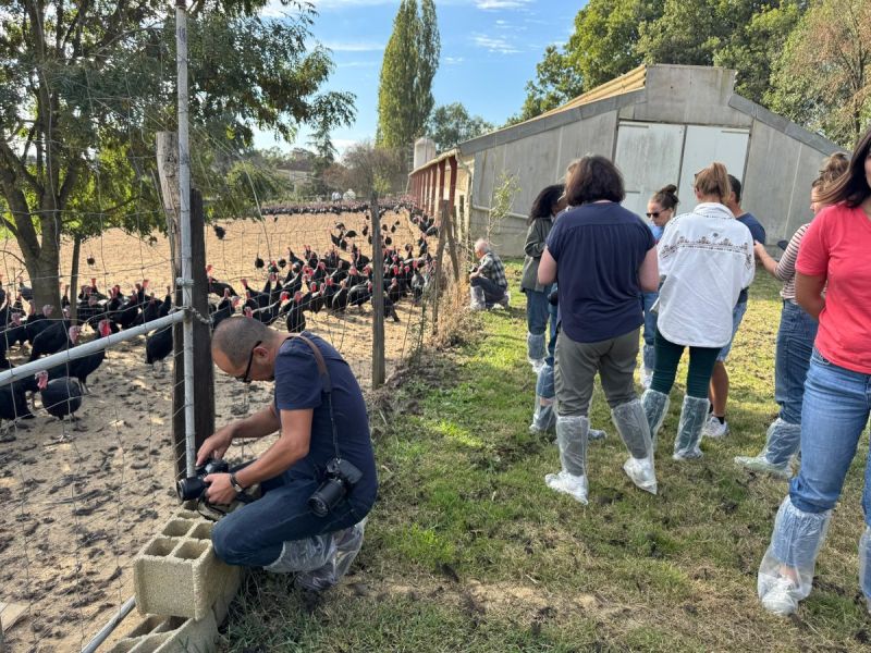 Image for the Tweet beginning: Enfin, ce sont 7 000