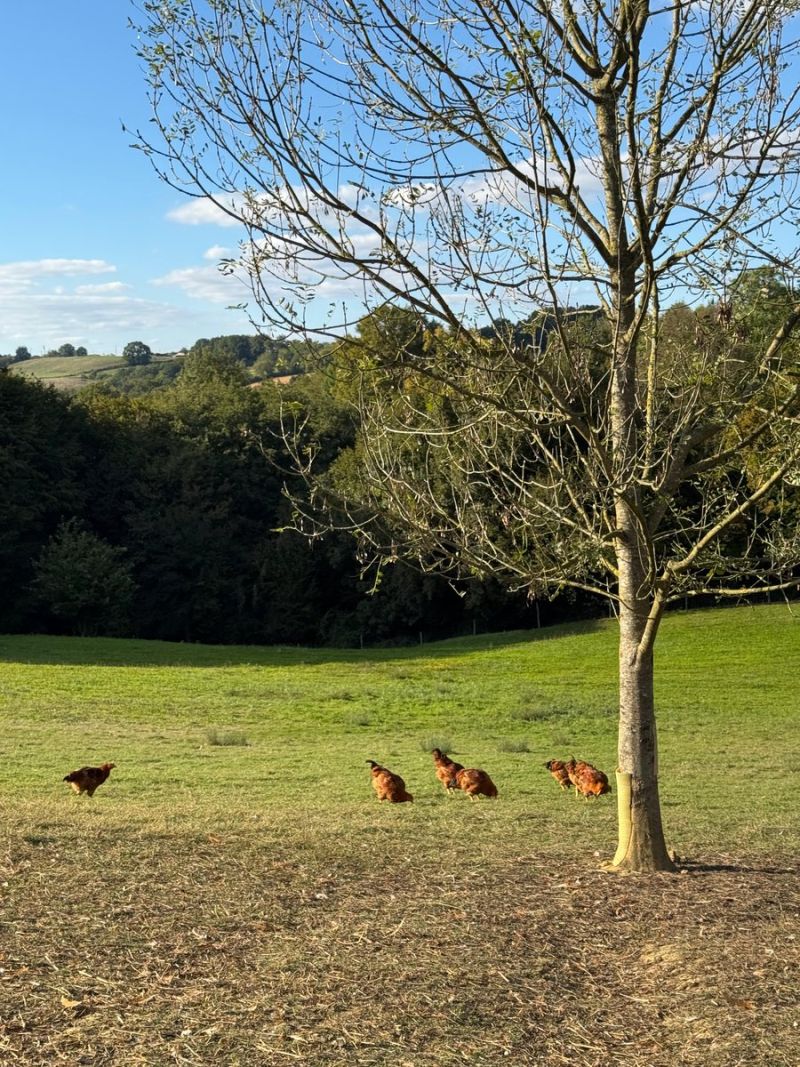 Image for the Tweet beginning: Enfin, ce sont 7 000