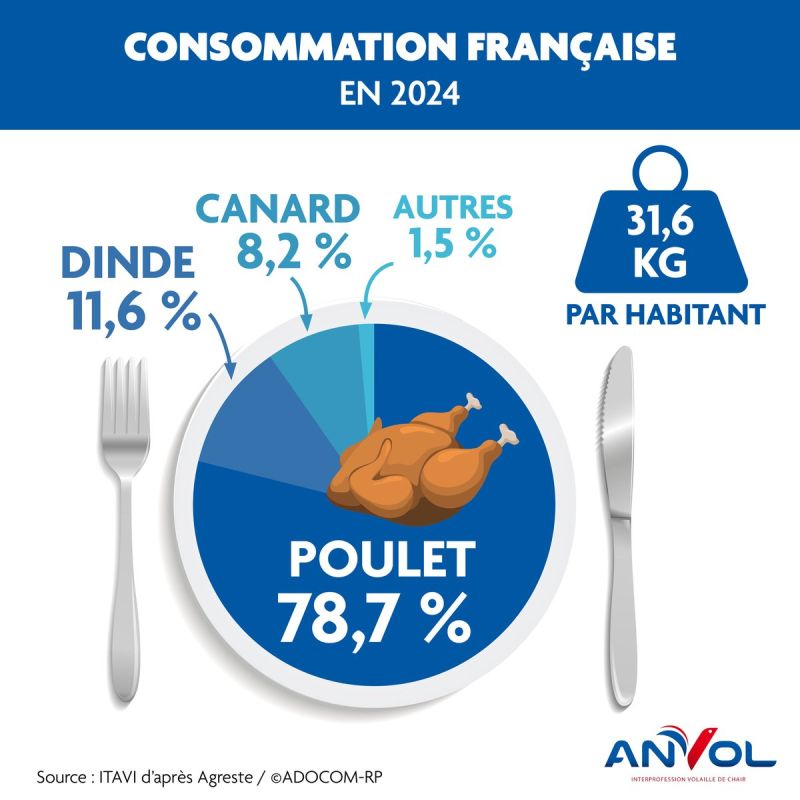 Image for the Tweet beginning: Les poulets ont la côte