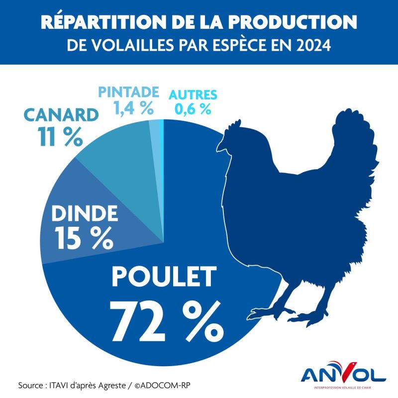 Image for the Tweet beginning: La production de volailles poursuit