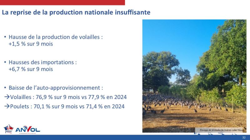 Image for the Tweet beginning: Plus d’un poulet sur deux