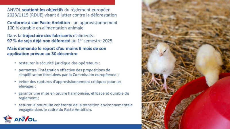 Image for the Tweet beginning: Réglementation relative à la déforestation